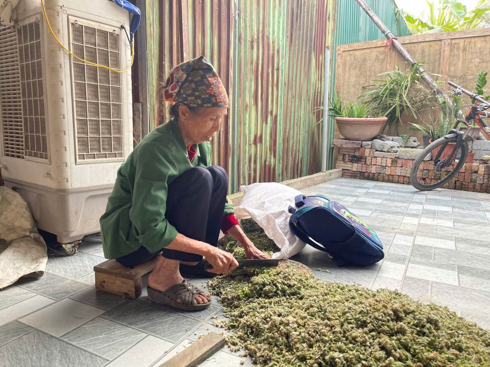 In her old age, suffering from bone and joint diseases and poor eyesight, Mrs. Chuyen still has to struggle and struggle every day to cover her life... Photo: Quynh Chi