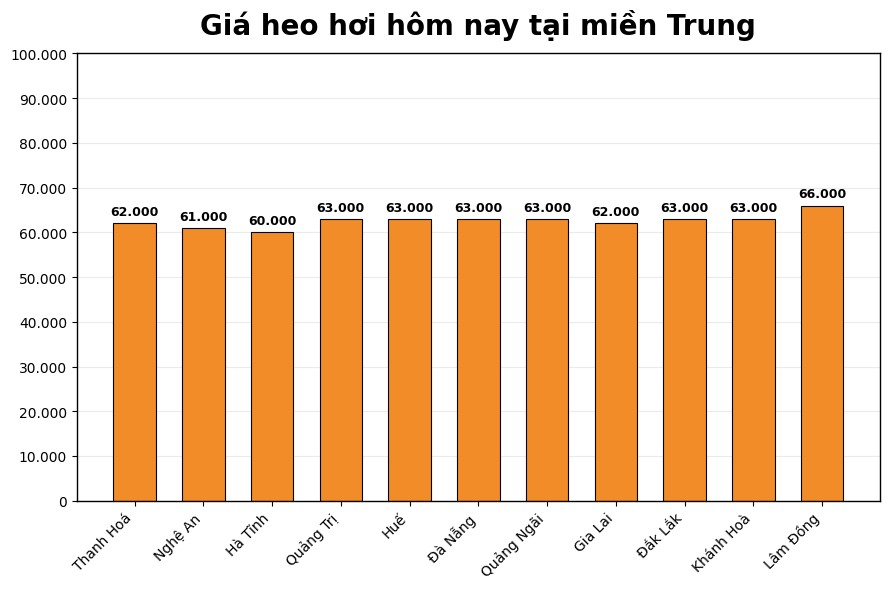 Giá heo hơi hôm nay 13.3 tại khu vực miền Trung. Đồ họa: Thùy Linh
