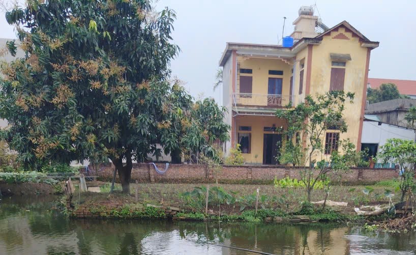 Many people wonder about the legal regulations for agricultural land that has houses built. Photo: Tuong Van