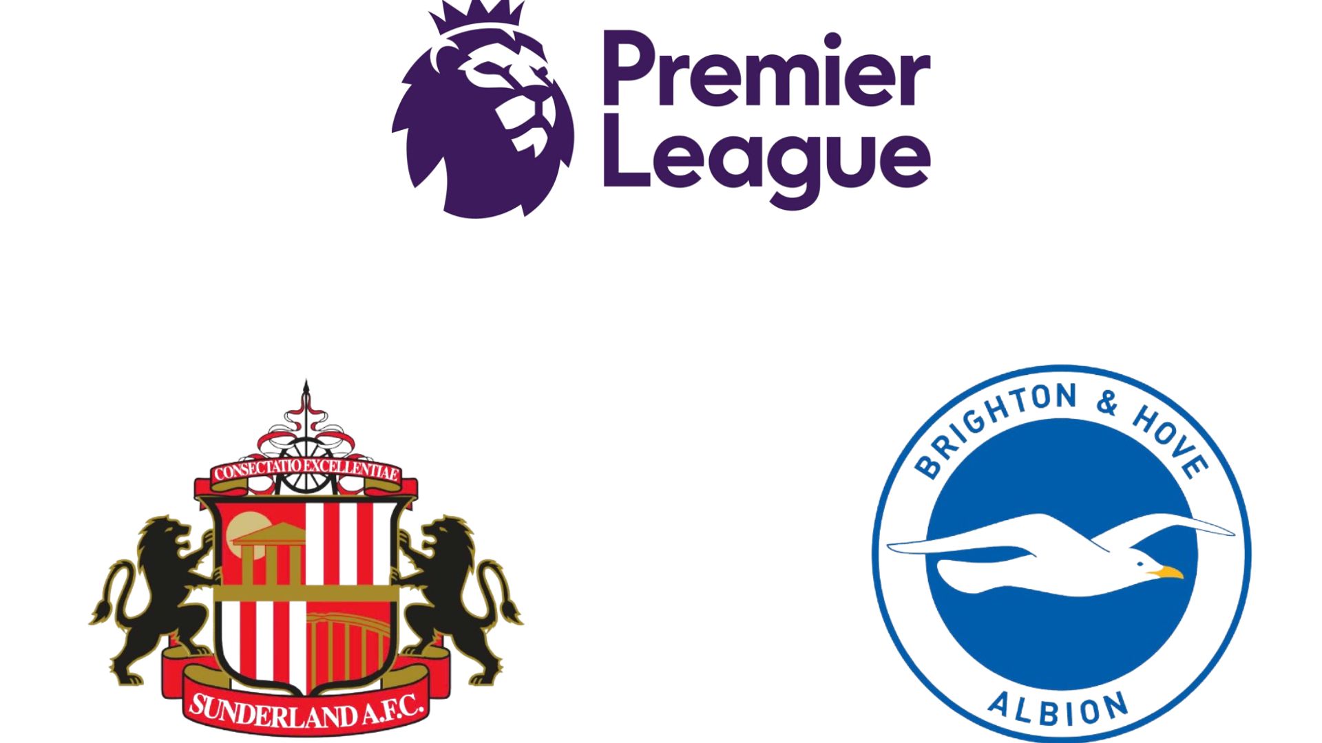 Football prediction Sunderland vs Brighton in the Premier League. Graphics: Van An