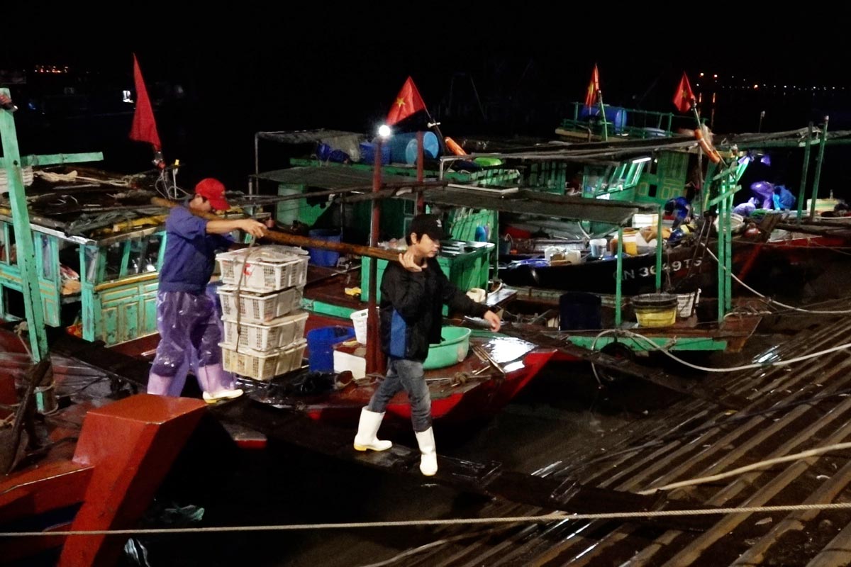 After the boat docks, fishermen urgently bring seafood to the fish market for delivery. Photo: Doan Hung