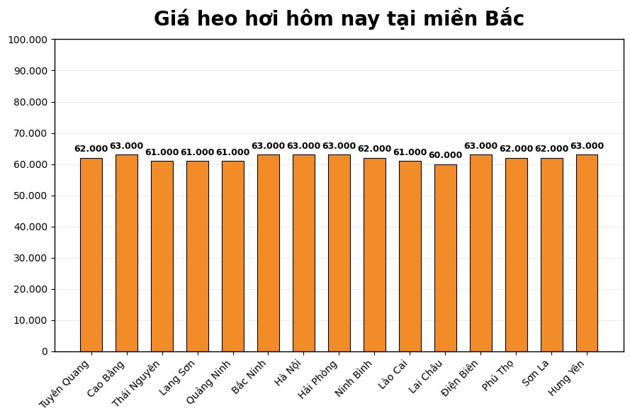 Giá heo hơi hôm nay 14.3 tại khu vực miền Bắc. Đồ họa: Thùy Linh
