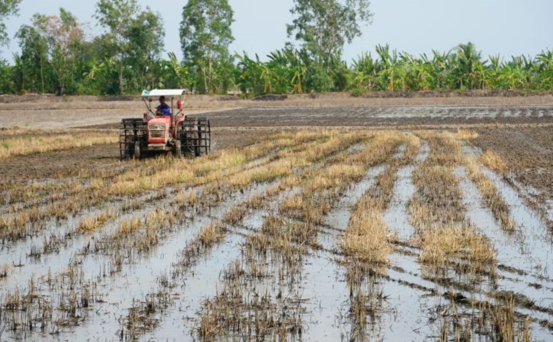 Forecast of the highest saltwater intrusion in the Mekong Delta