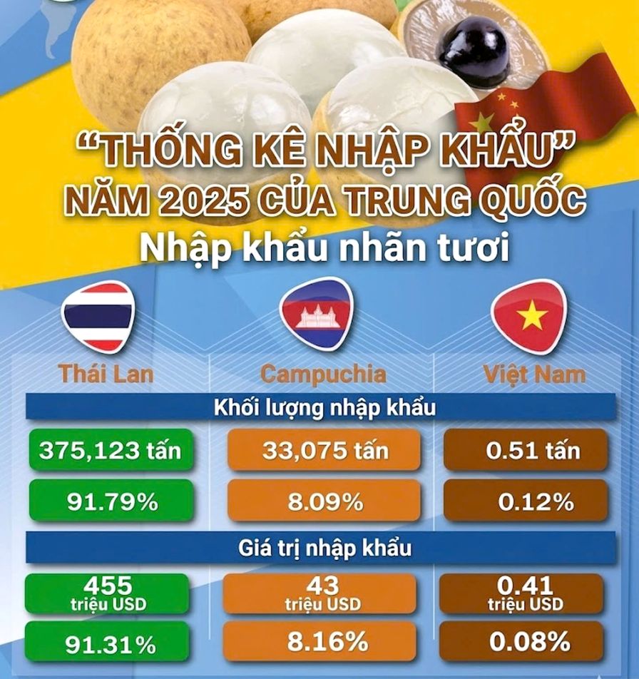 Biểu đồ thể hiện sản lượng quả nhãn xuất khẩu vào thị trường Trung Quốc năm 2025. Ảnh: tư liệu Nguyễn Phước Tuyên