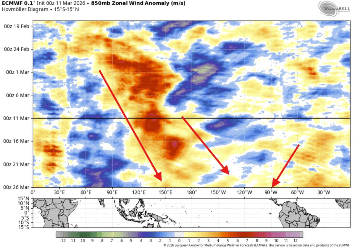 Analysis shows unusually strong westerly winds in the Pacific, signs of La Nina weakening rapidly and creating conditions for El Nino to form. Photo: ECMWF