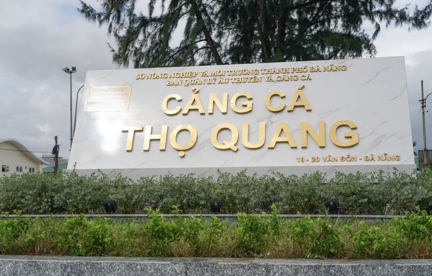 Da Nang will convert Tho Quang fishing port - the largest fishing center in the Central region into a tourist port. Photo: Truong An