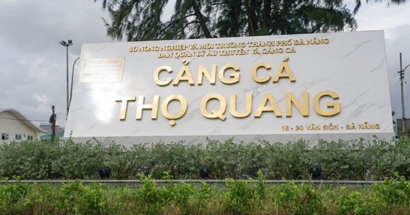 Chuyển cảng cá thành cảng du lịch: Cần giải pháp sinh kế cho người dân