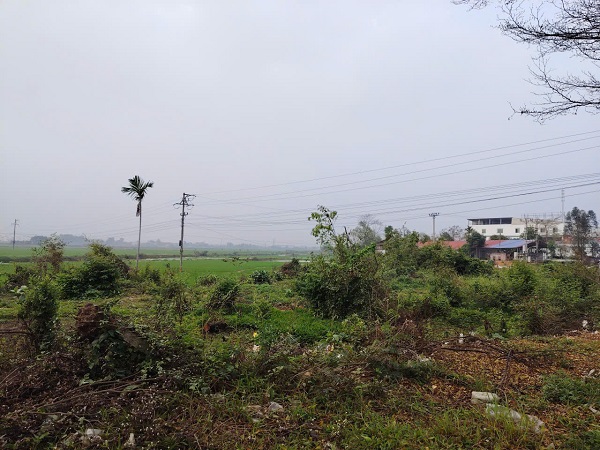 Many people encounter obstacles when making red books in reality. Photo: Xuyen Dong
