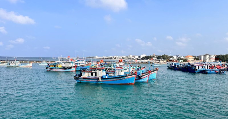 Ngư dân đảo Phú Quý bỏ phiếu tại bến cảng