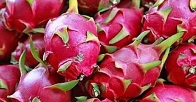 Ăn thanh long thường xuyên ảnh hưởng thế nào đến cơ thể?