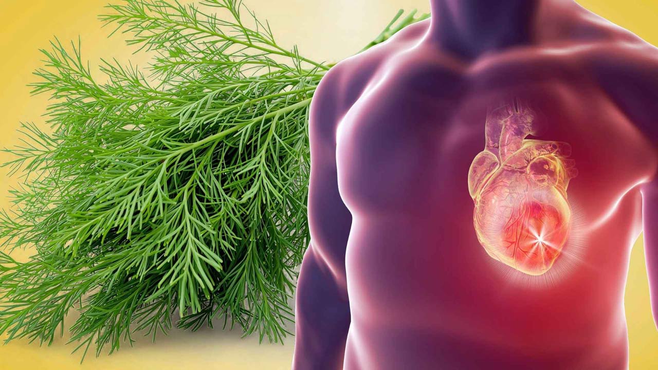 A complex herb that sells in the market, a precious medicinal herb for the heart