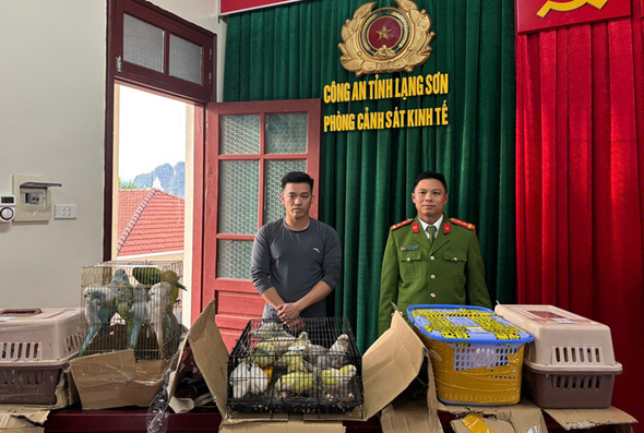 Phòng Cảnh sát kinh tế, Công an tỉnh Lạng Sơn bắt 30 cá thể vẹt không rõ nguồn gốc. Ảnh: Công an Lạng Sơn