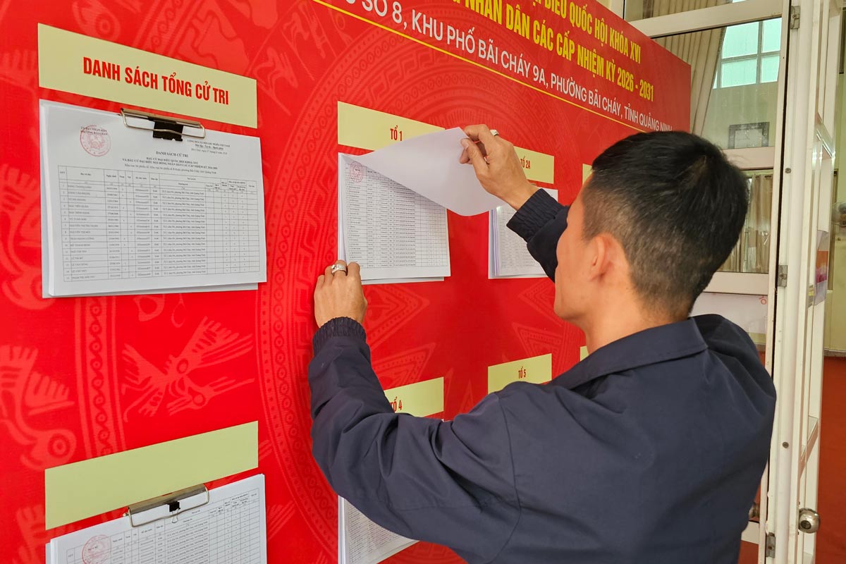 Cử tri tìm hiểu thông tin bầu cử. Ảnh: Đoàn Hưng