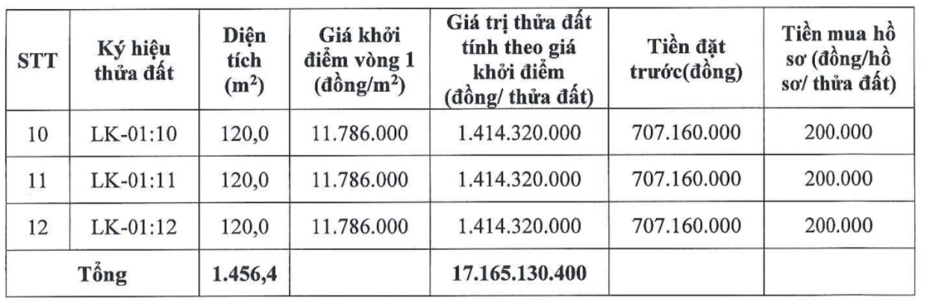 Thông tin phiên đấu giá 12 thửa đất tại xã Hòa Xá. Ảnh: Công ty Đấu giá hợp danh Lạc Việt