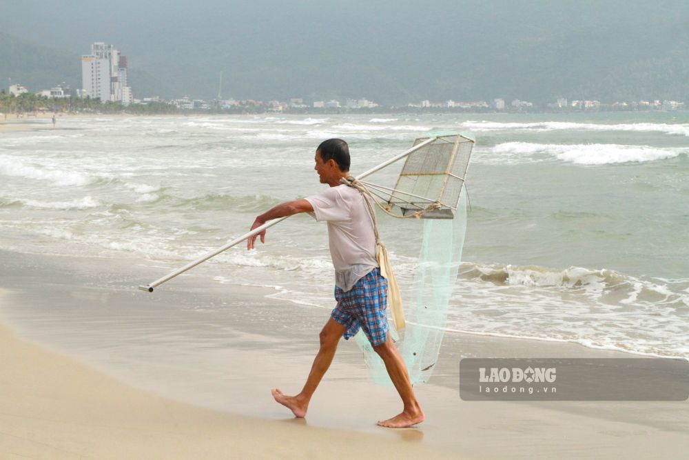 Vào mùa ốc lễ, ngư dân tất bật đi cào từ sáng sớm đến trưa muộn. Ảnh: Thanh Huyền