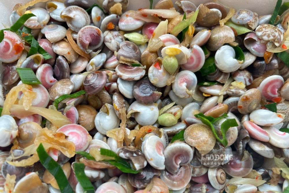 Ốc lễ được luộc chín, xào với gia vị thường có giá 40.000 - 50.000 đồng/lon, loại ốc lớn có thể lên đến 70.000 đồng/lon. Ảnh: Thanh Huyền