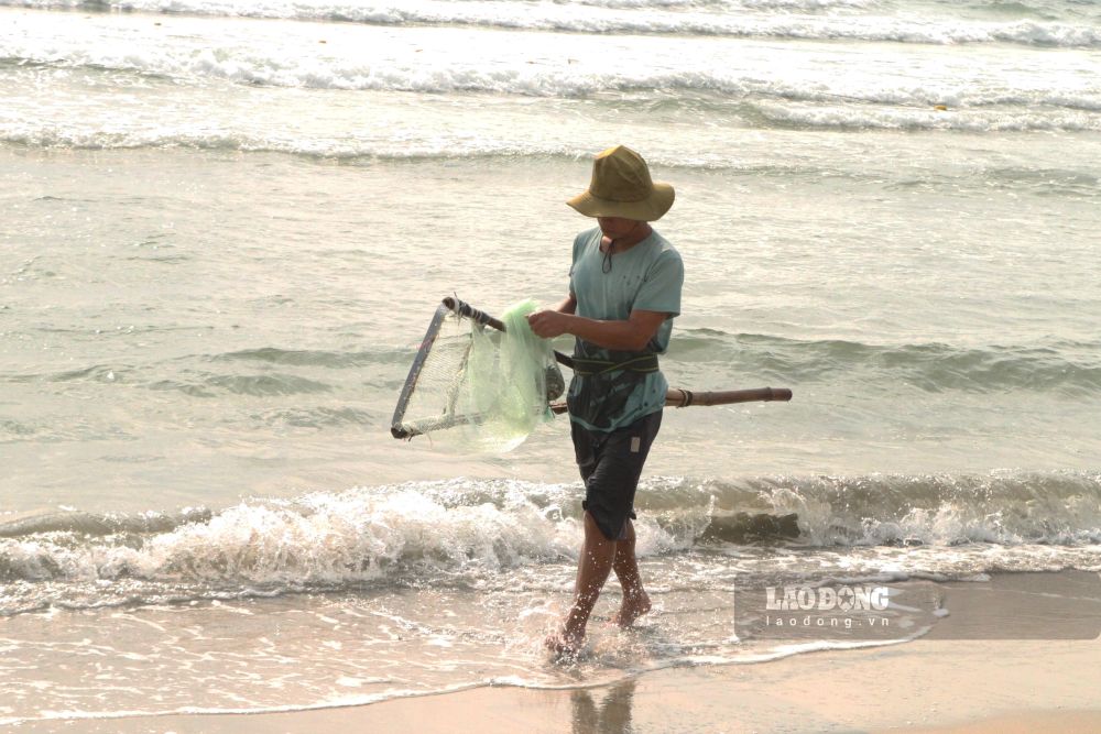Ngư dân Đà Nẵng cào ốc lễ từ rạng sáng. Ảnh: Thanh Huyền