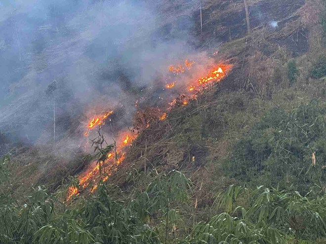 乾季には、ダクラク省は常に高いレベルの森林火災の危険に直面しています(2025年に撮影されたイラスト)。写真:バオ・チュン