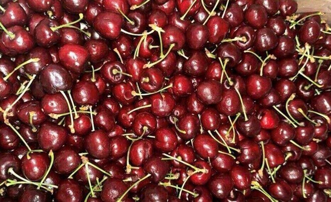 Cherries have many uses to help keep kidneys healthy and support uric acid excretion. Photo: Kieu Vu.