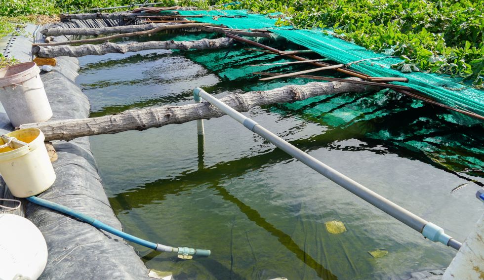 Ao lót bạt trữ nước giữa ruộng dưa ở vùng đất cát ven biển giúp nông dân chủ động tưới trong mùa khô. Ảnh: Phương Anh