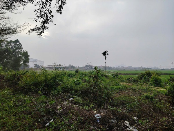 Many people wish to convert agricultural land to residential land. Photo: Xuyen Dong
