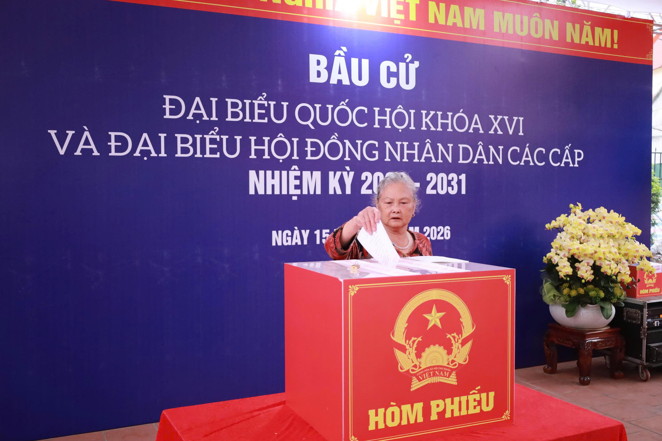 Bàu cử