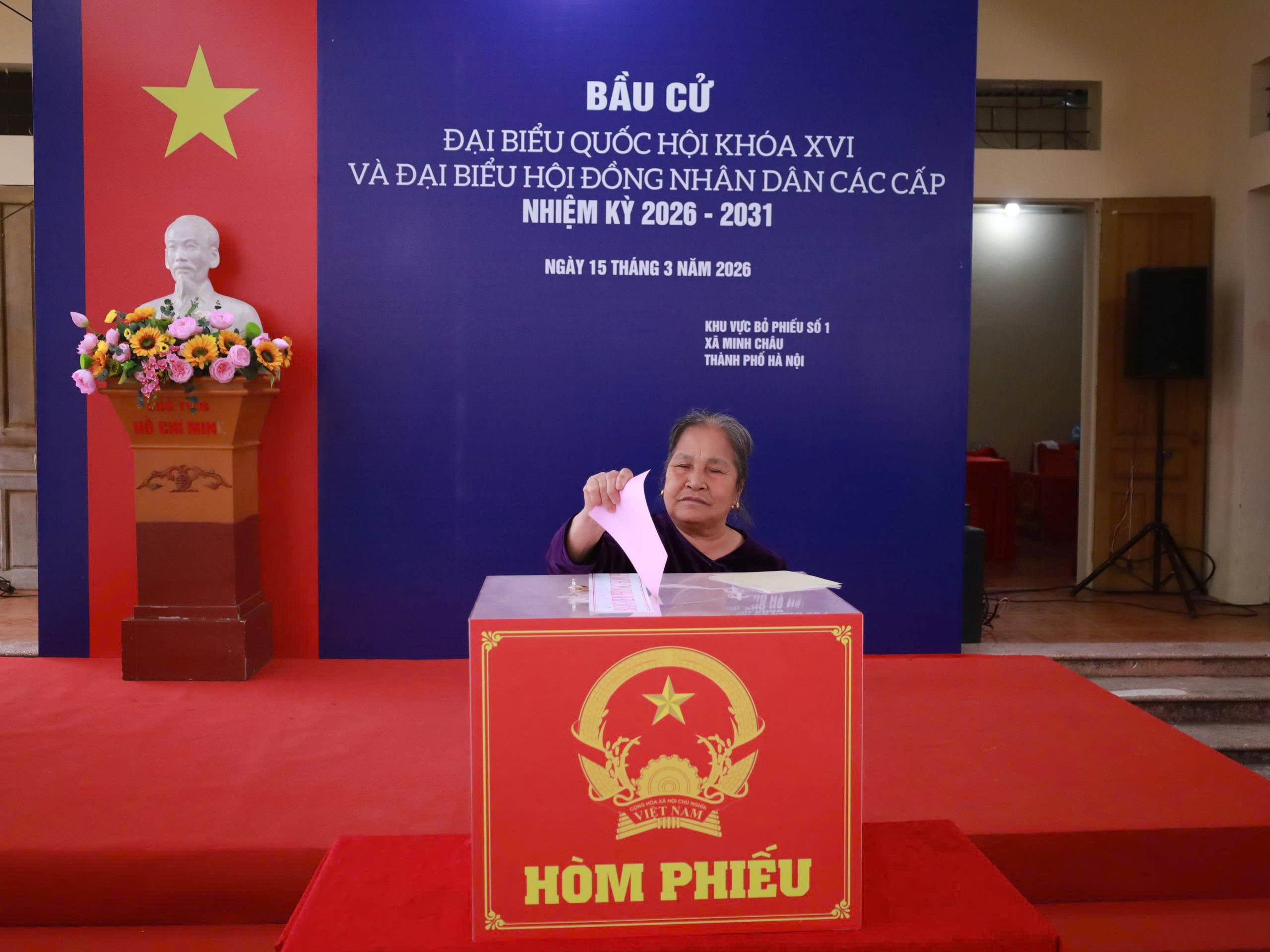 Bàu cử