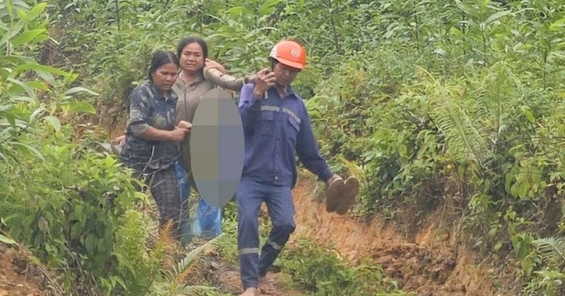 Quảng Ngãi: Đường dây 110kV phóng điện, 2 người bị thương