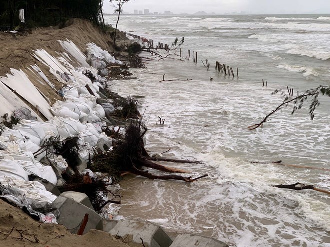 The Hoi An Erosion Prevention and Sustainable Coastal Protection Project has a total investment of 982 billion VND. Photo: Thu Giang