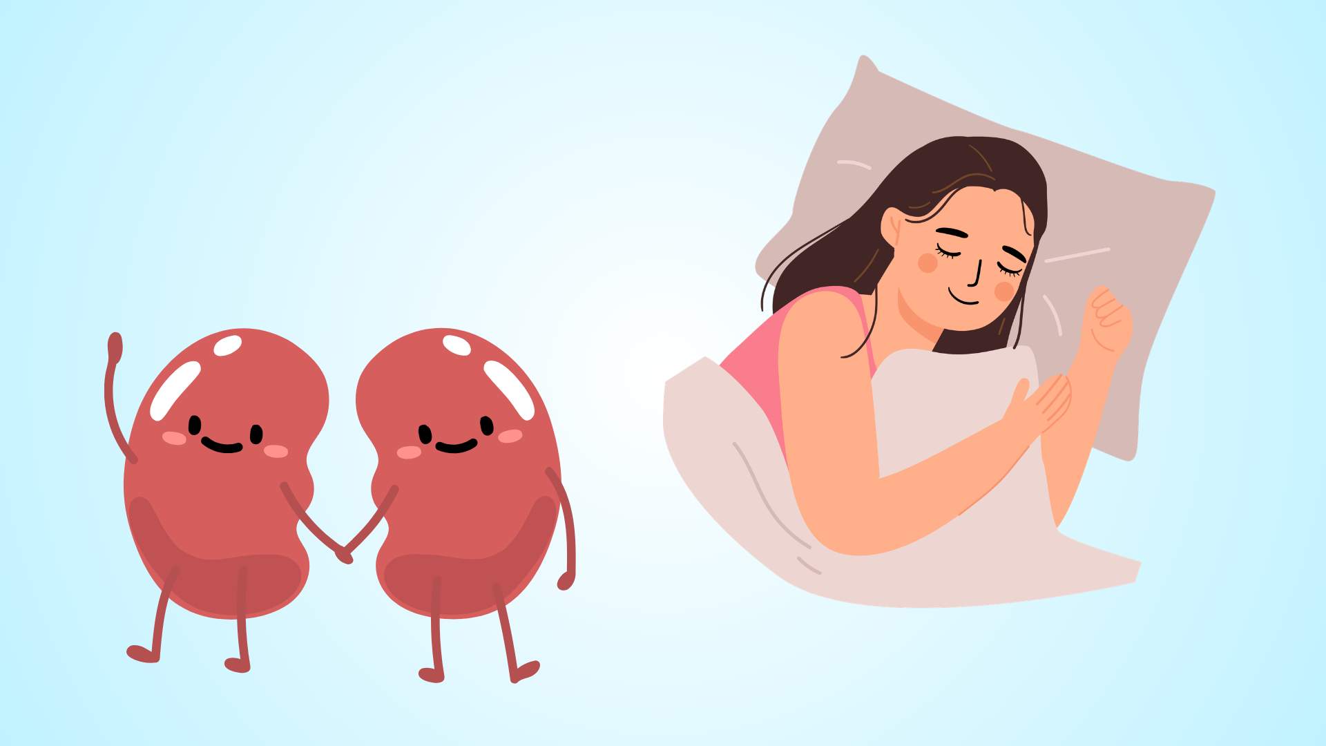 Kidneys recover and increase detoxification ability thanks to proper midday naps