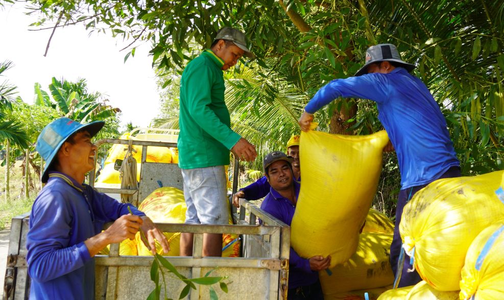 Nhờ tham gia hợp tác xã, nhiều lao động có thêm việc làm bốc vác, vận chuyển lúa và vật tư nông nghiệp. Ảnh: Phương Anh