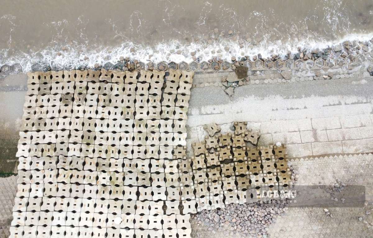 Hai Thinh sea dyke section area. Photo: Luong Ha