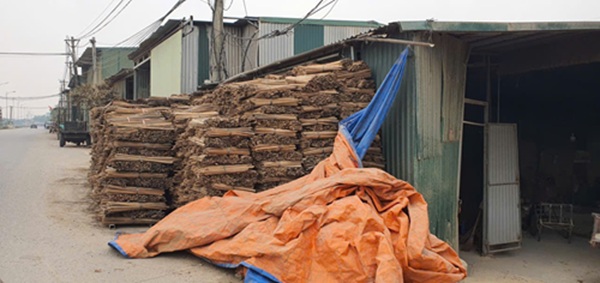 Loạt nhà xưởng lấn hành lang đê điều ở Hà Nội, tiềm ẩn nguy cơ cháy nổ. Ảnh: Minh Hạnh 