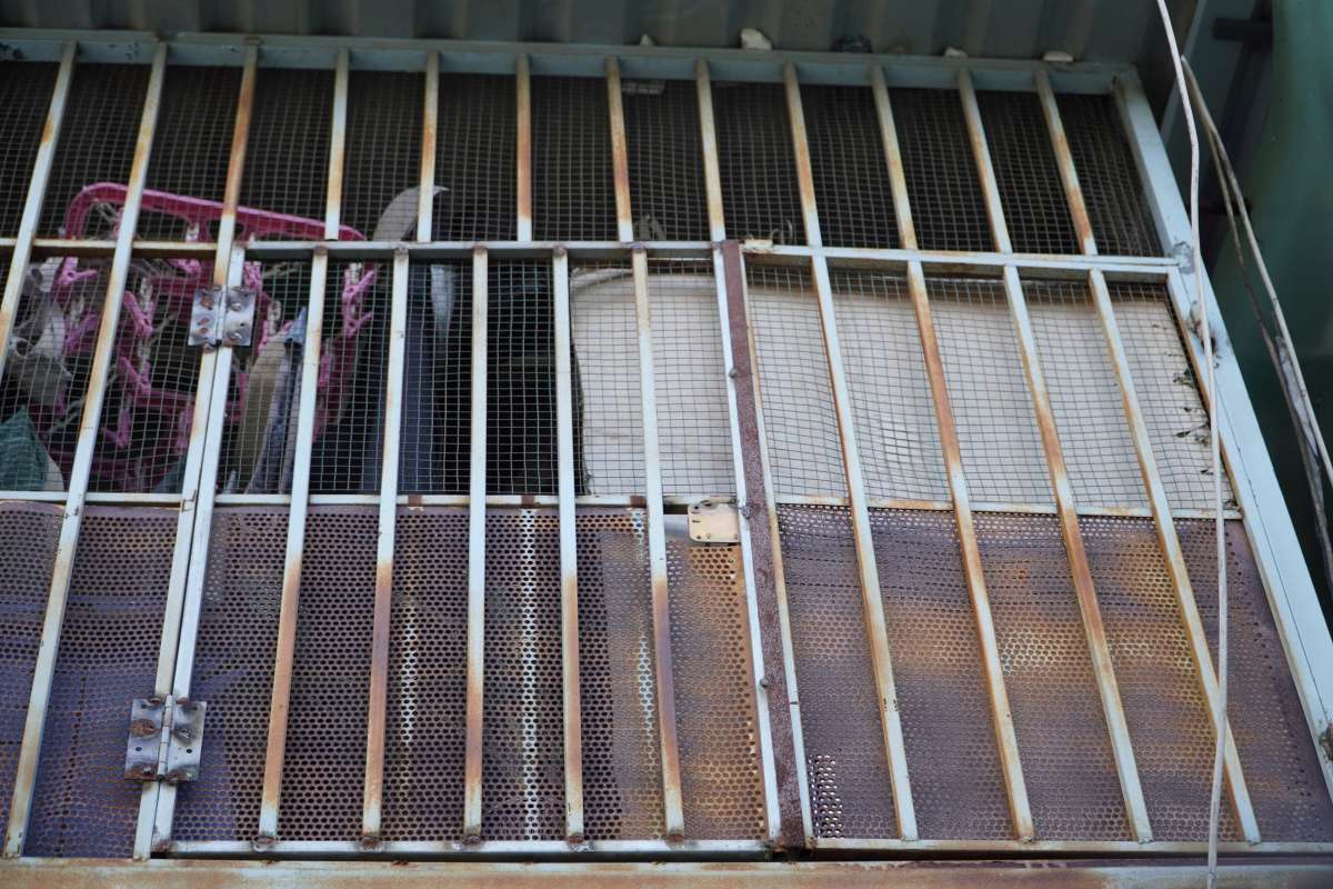 Hiện có hơn 90% hộ dân khu Thanh Đa (phường Bình Quới, TPHCM) đã chủ động mở lối thoát nạn thứ hai tại các chuồng cọp sắt. Ảnh: Thái Bảo