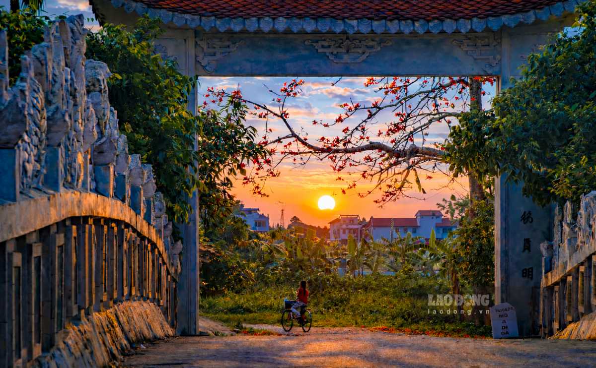 Visiting Hung Yen to admire the bright red rice flowers in the countryside sky. Photo: Trong Cung
