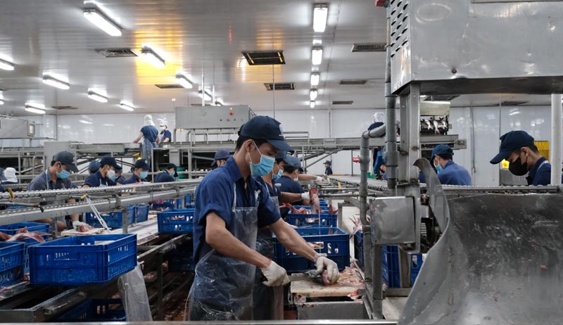 Since after Tet, Indian Ocean One Member Limited Liability Company (Can Tho City) has recruited about 100 new workers. Photo: My Ly