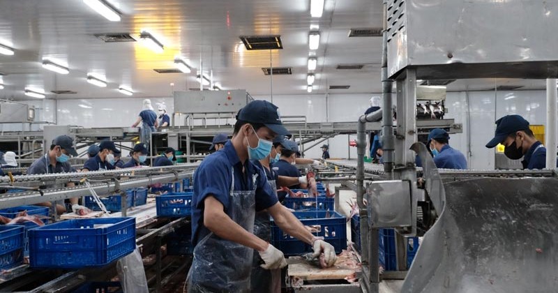 Lao động hồi hương khó tìm việc làm ổn định