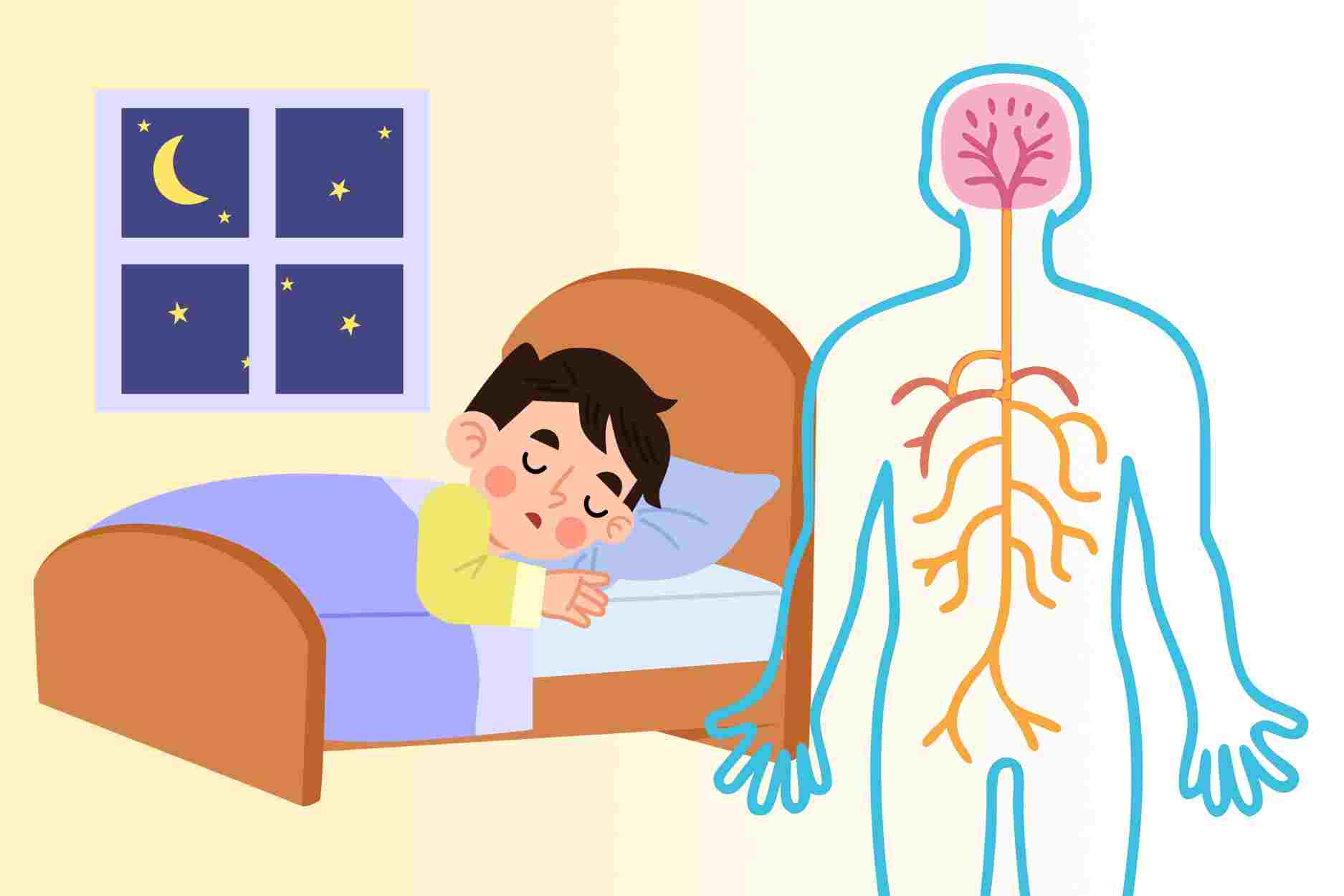 수면 개선 및 신경 긴장 감소에 도움이 되는 허브