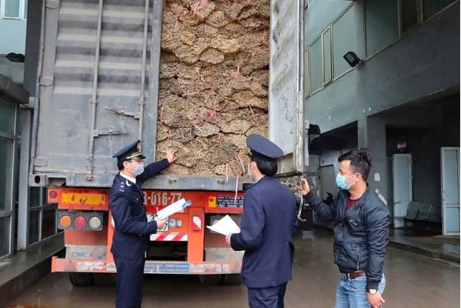 Hải quan kiểm soát hàng hóa tại cửa khẩu quốc tế Cầu Treo. Ảnh: Trần Tuấn