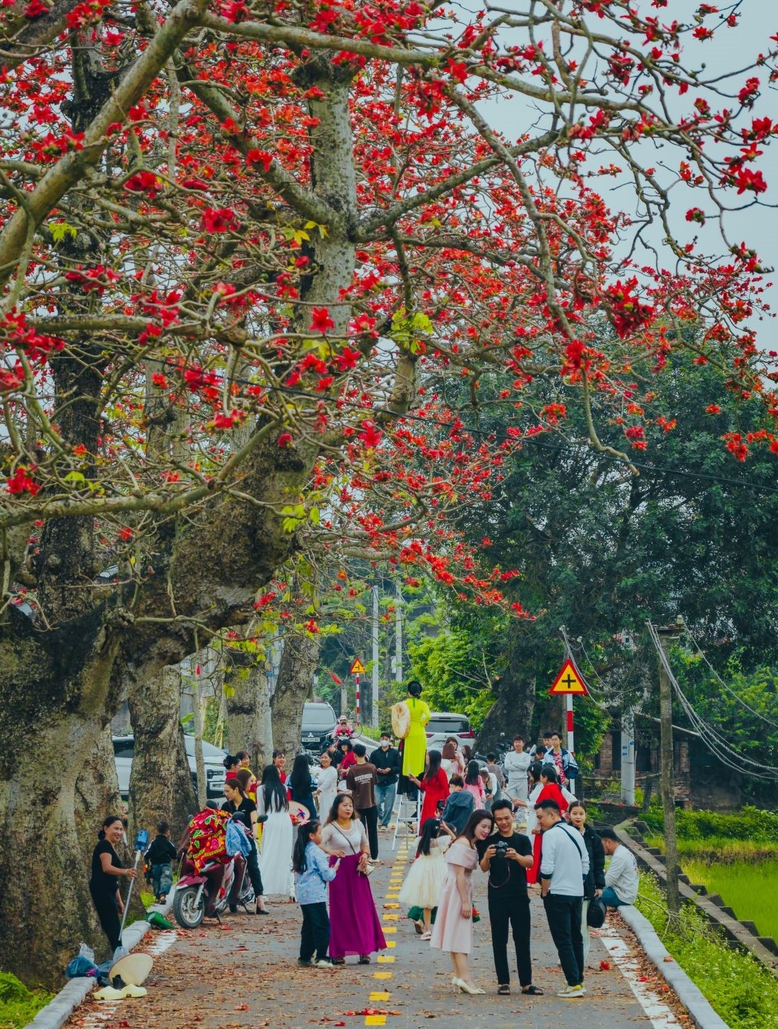 Thôn Đoan Nữ những ngày này thu hút không chỉ nhiếp ảnh gia mà cả các nhóm bạn trẻ, nhóm du khách đến tham quan, chụp ảnh lưu niệm. Nhờ sự lan tỏa trên các mạng xã hội, du khách tới đây ngày một đông, đặc biệt vào dịp cuối tuần.