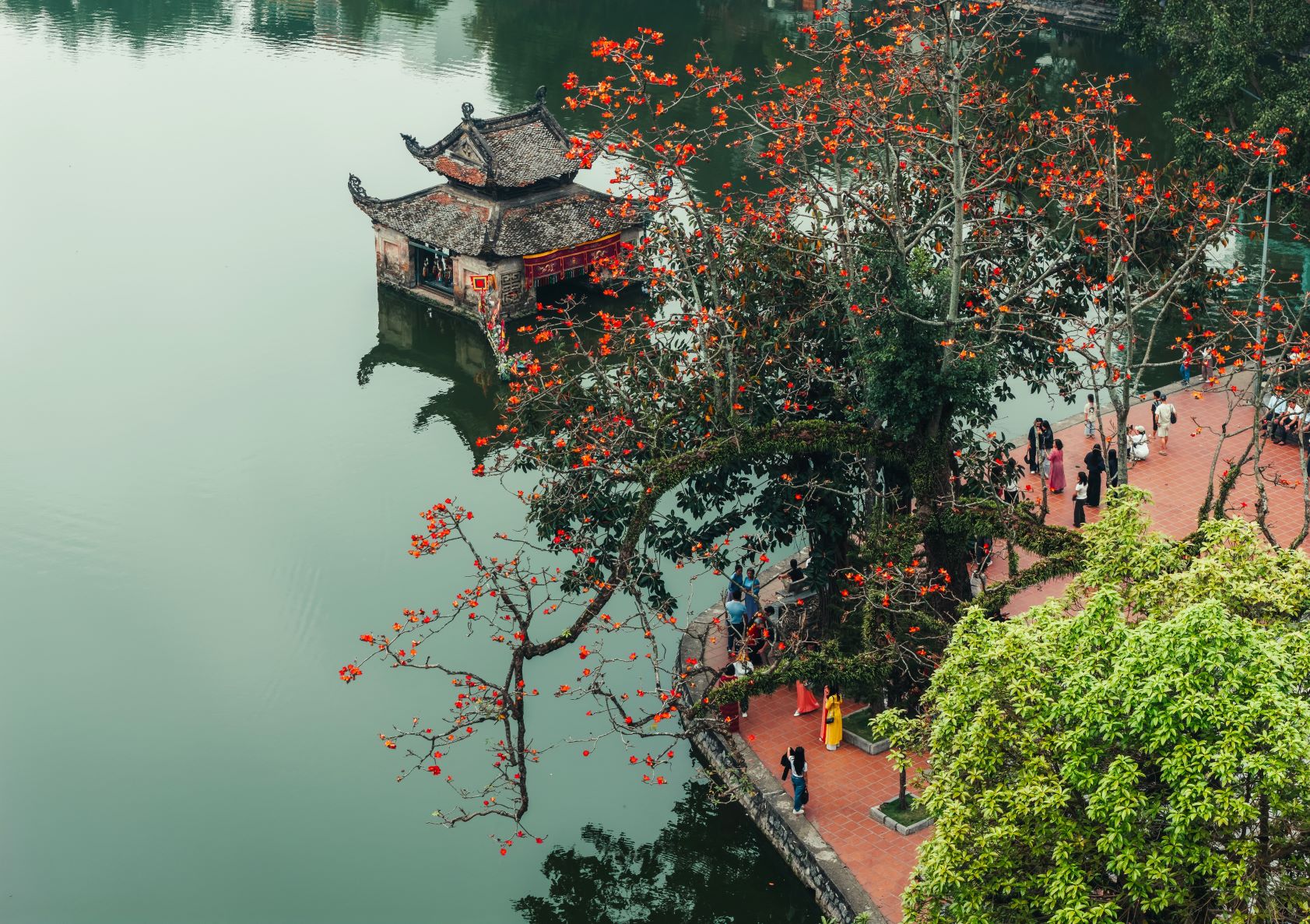 Hoa gạo nở là cây trụi lá trơ cành, hoa bung hết cỡ tô sắc đỏ thắm cho một góc sân chùa, cuốn hút từ người dân, du khách, nhiếp ảnh gia tới sáng tác.