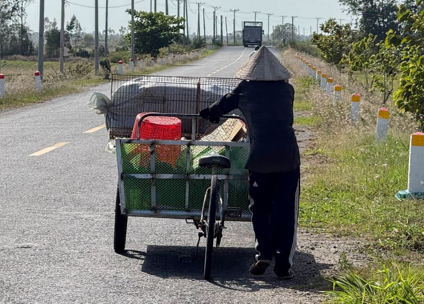 Mỗi ngày, ông Bạch đi về khoảng 40km để nhặt ve chai. Ảnh: Phương Anh