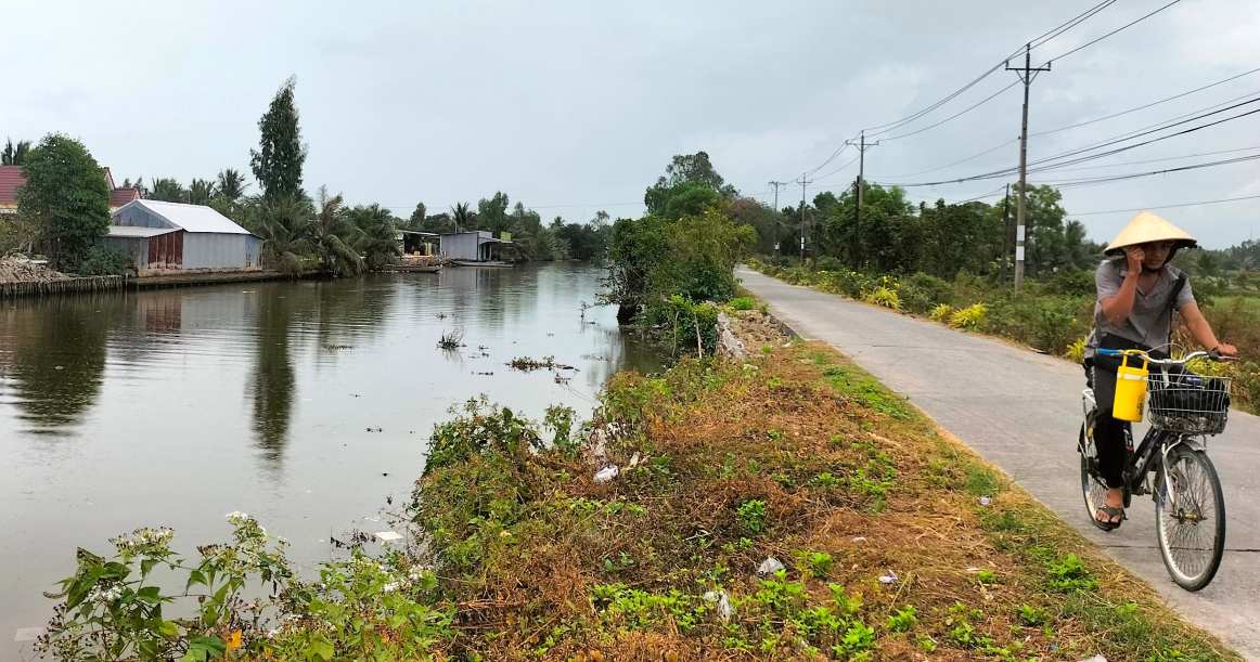 Los agricultores de la comuna de Phuoc Long, Ca Mau, además de ahorrar gastos, limitan viajar en motocicleta, reemplazándolos con bicicletas para ahorrar costes. Foto: Nhat Ho.