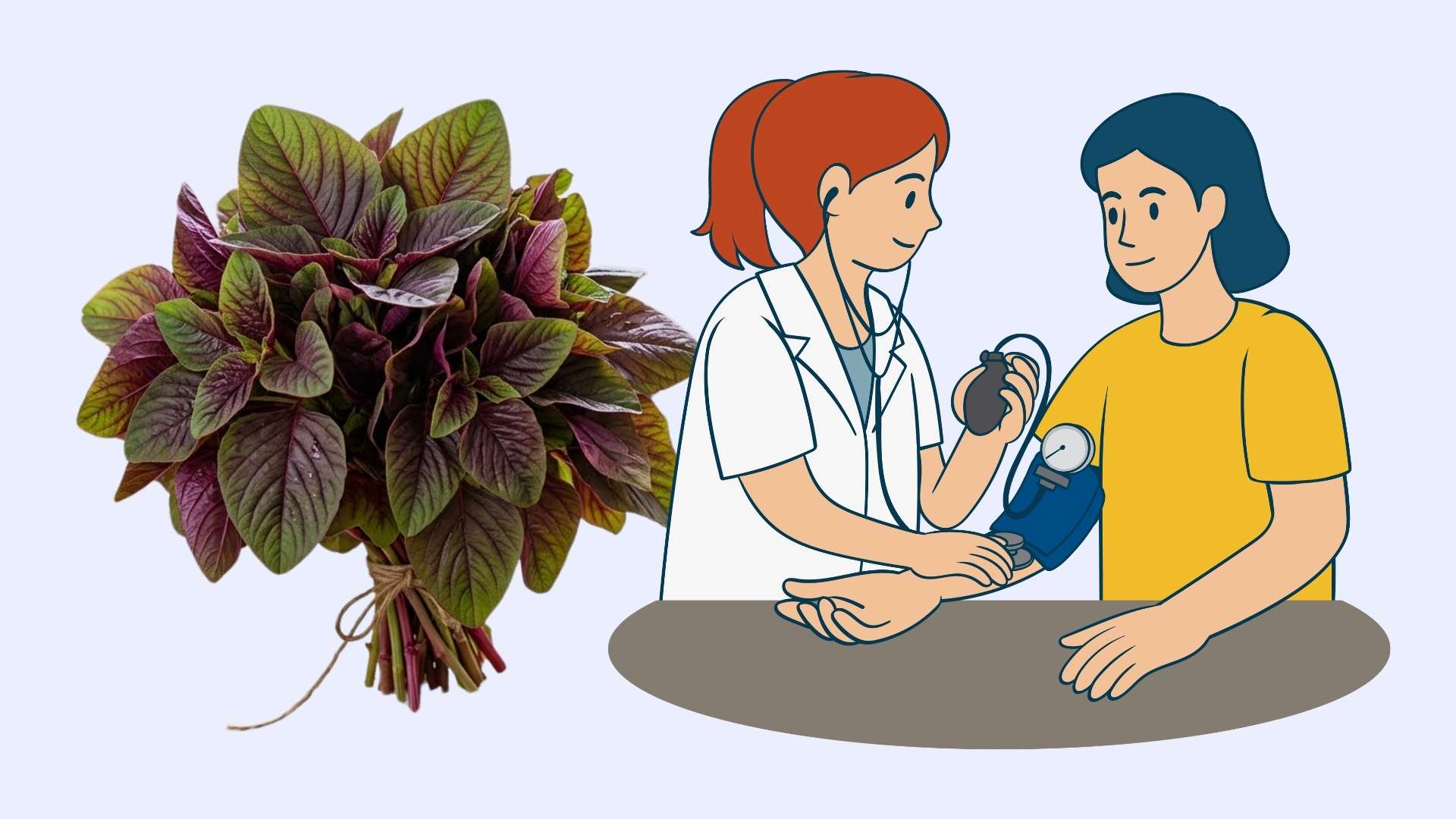 Cheap vegetable that helps lower blood pressure quickly that many people ignore. Graphics: Linh Dan