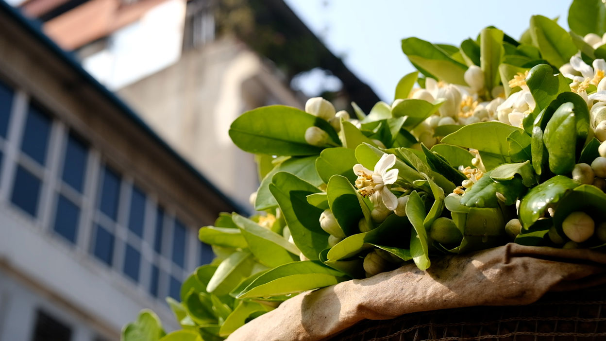 White grapefruit flower baskets on the streets every March have become a typical gift, preserving the elegant culture of Hanoi people.