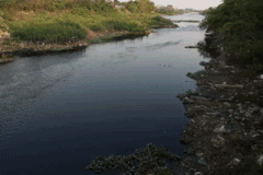 La pollution encercle les rivières Nhue et Day, les habitants souffrent de la mauvaise odeur