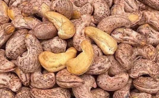 Cashews are one of the types of nuts that people with high blood pressure can use for snacks in moderation. Photo: Kieu Vu