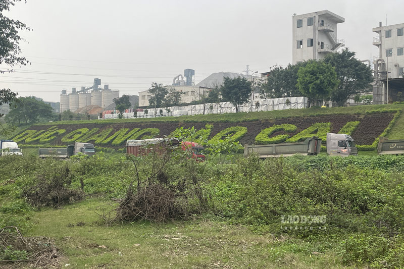 Công ty TNHH MTV hóa chất Đức Giang - Lào Cai vẫn hoạt động bình thường. Ảnh: Đinh Đại