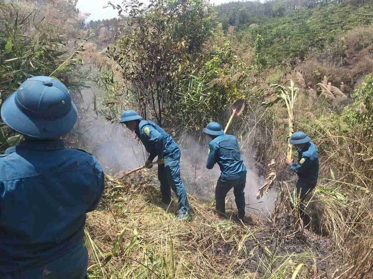 Les milices de la commune de Tân Hội s'efforcent d'éteindre le feu et de maîtriser l'incendie de forêt. Photo: Phúc Khánh