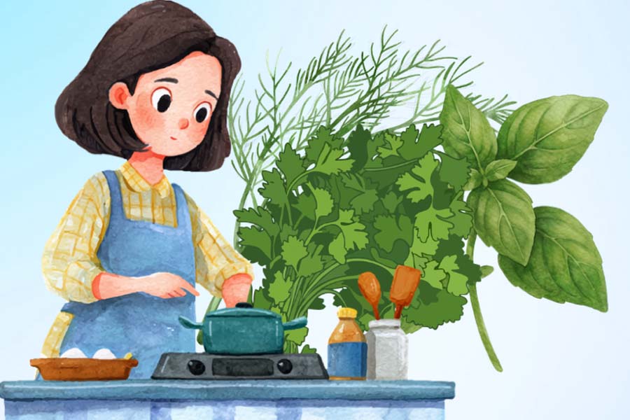 健康のために毎週購入すべき新鮮なハーブ。グラフィック:ティエン・ニャン